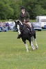 thornton-le-dale-gala showclass7acharity25-5-20172